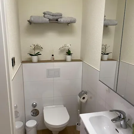 Apartment Nähe Flughafen Psd Dome Merkur Arena *